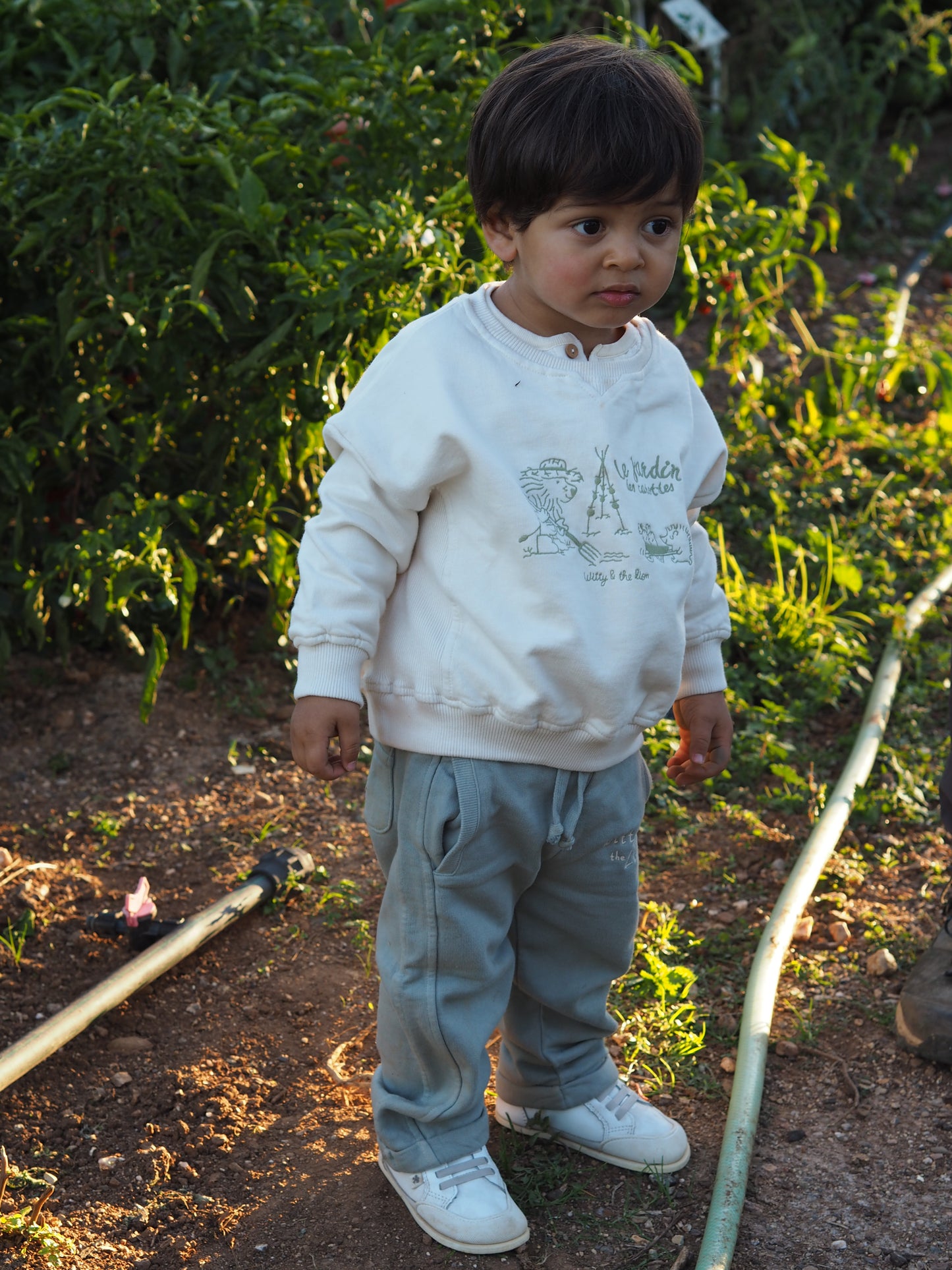 Sudadera bordada 'Le jardin' beige
