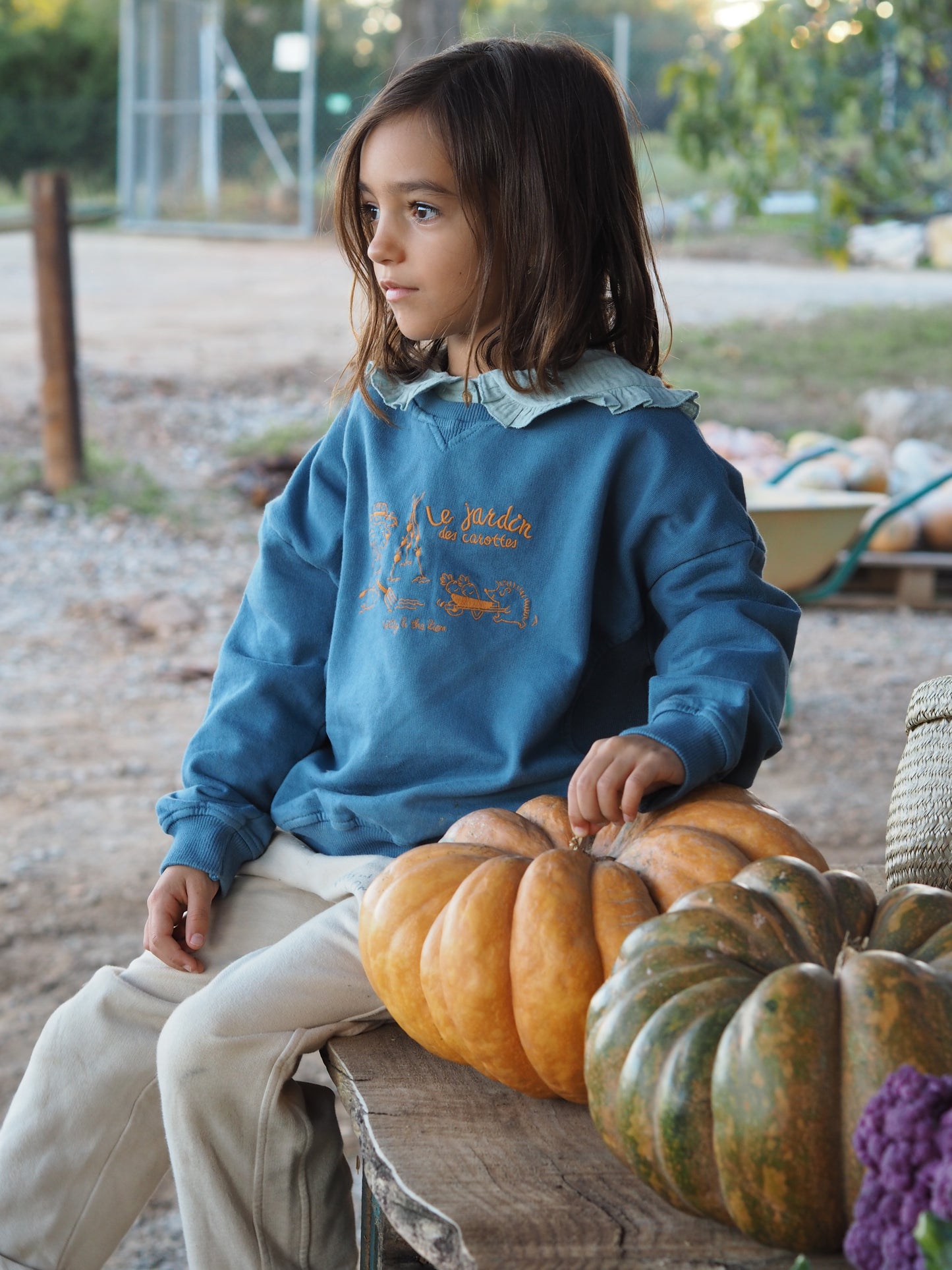 Sudadera bordada 'Le jardin' azul